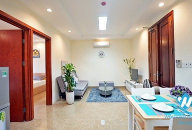 Well-furnished 2 bedroom apartment for rent on Giang Vo street
