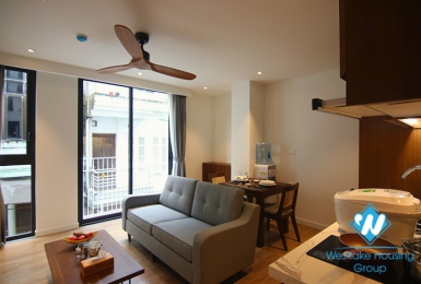 A lovely serviced apartment in Japanese style for rent in Ba Dinh District