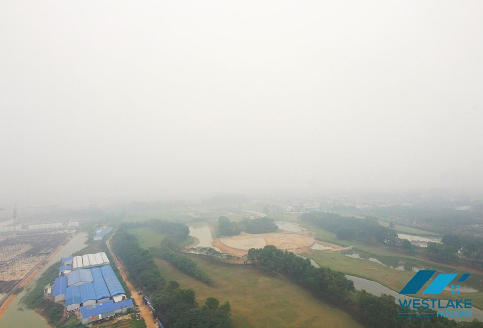 A lovely 2 bedroom apartment for rent in Ciputra area