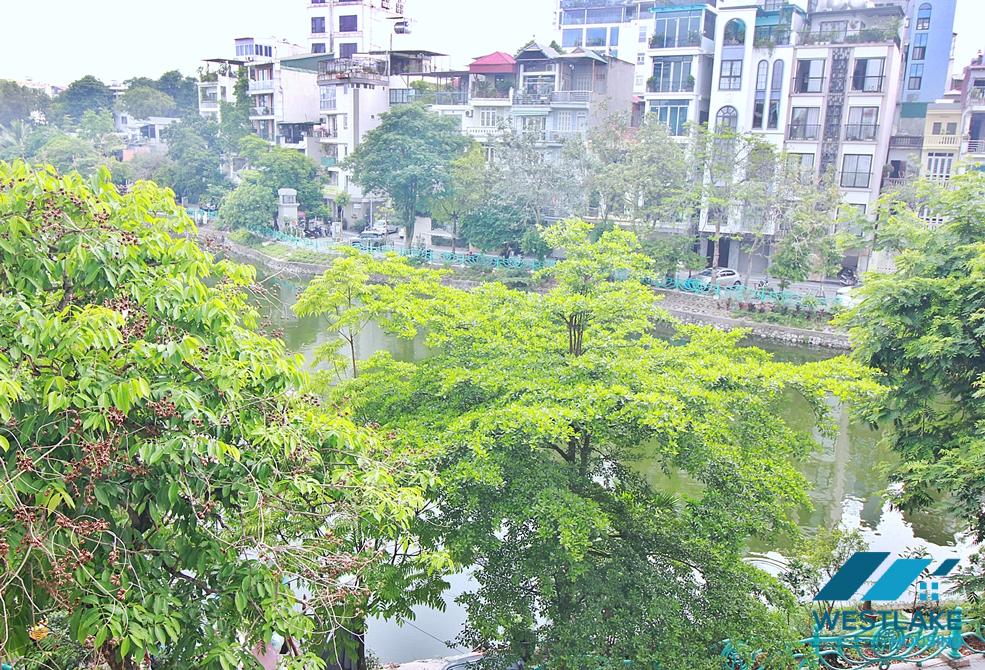 Căn Hộ 1 Phòng Ngủ Hoàn Toàn Mới, Ban Công View Hồ Cho Thuê Tại Phố Vũ Miên Tây Hồ, Hà Nội
